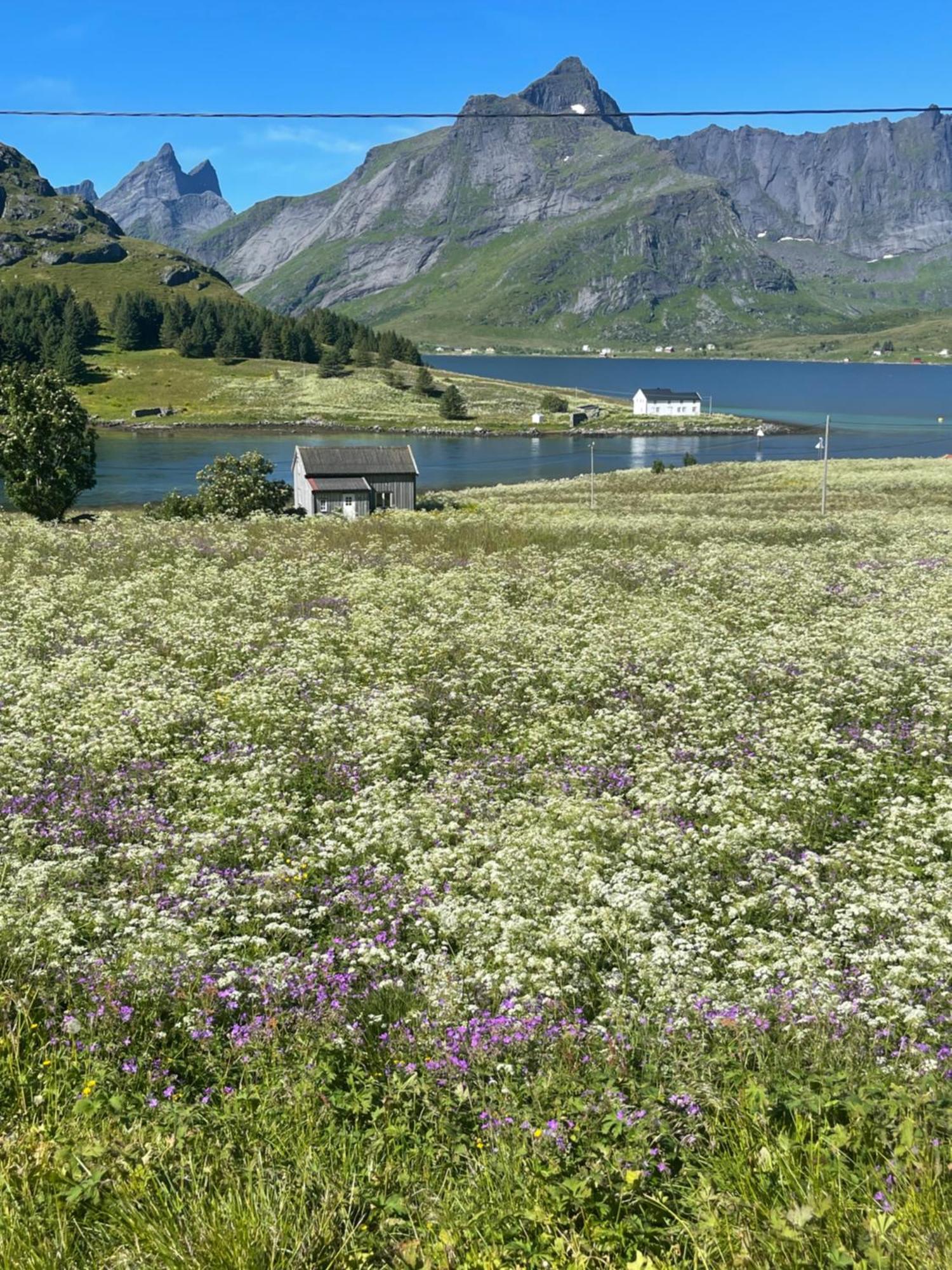 Enebolig Med Eventyrlig Beliggenhet Like Ved Sjoen I Lofoten Sund (Nordland)