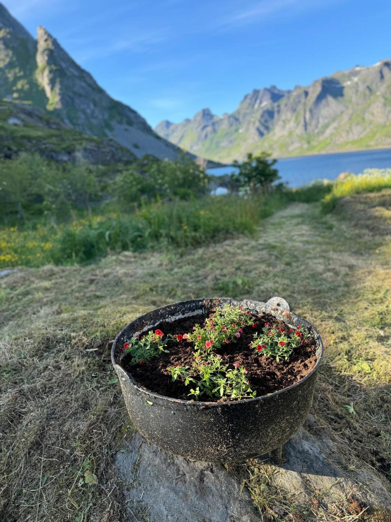 Enebolig Med Eventyrlig Beliggenhet Like Ved Sjoen I Lofoten *