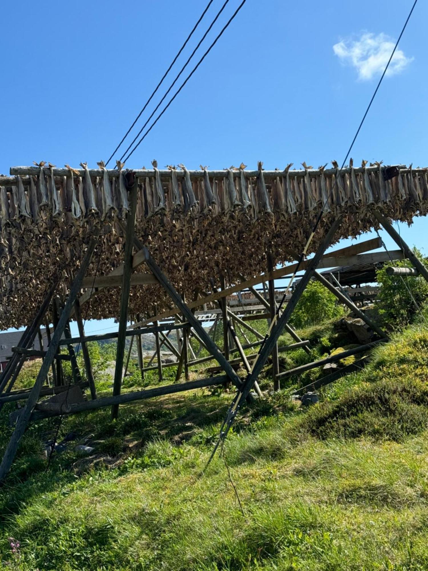 Enebolig Med Eventyrlig Beliggenhet Like Ved Sjoen I Lofoten Villa *